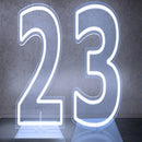 Axyaa Neon Double Digit Acrylic Digital Light for Birthday Party