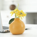 Axyaa Orange Ceramic Vase with Simulated Pomelo Fruit for Home Decoration