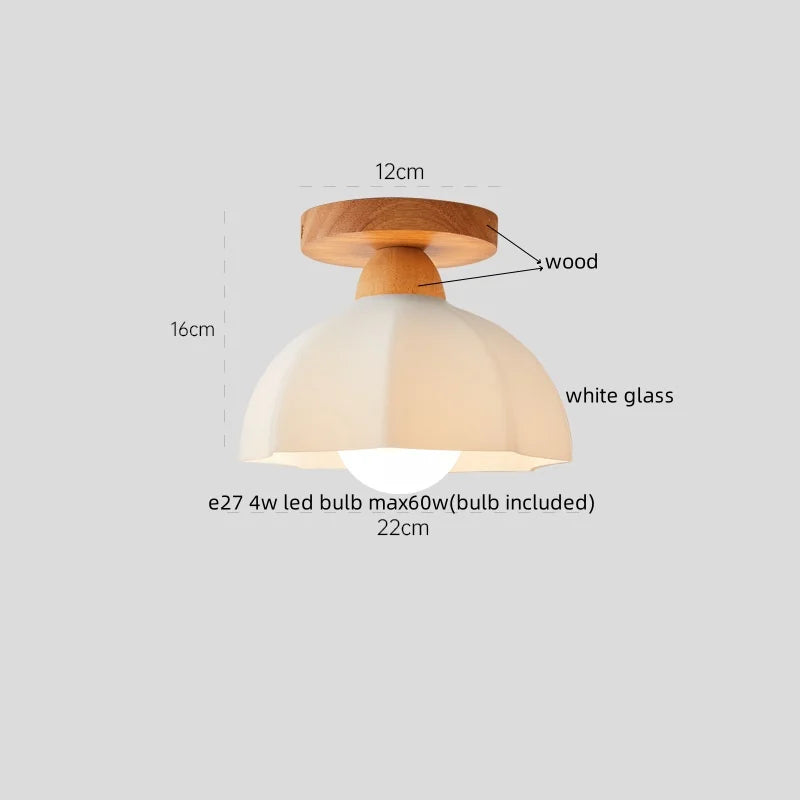 Axyaa Nordic Resin Copper Ceiling Light for Aisle Living Room Decoration