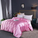 Axyaa Mulberry Silk Duvet Cover Queen Skin Beauty Comforter Cover Bed Blanket