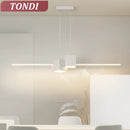 Axyaa LED Ceiling Chandelier: Modern Lighting Fixture for Dining Room, Living Room, Kitchen, and Aisle