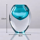 Axyaa Gradient Glass Vase Hydroponic Flower Pots Modern Home Decor