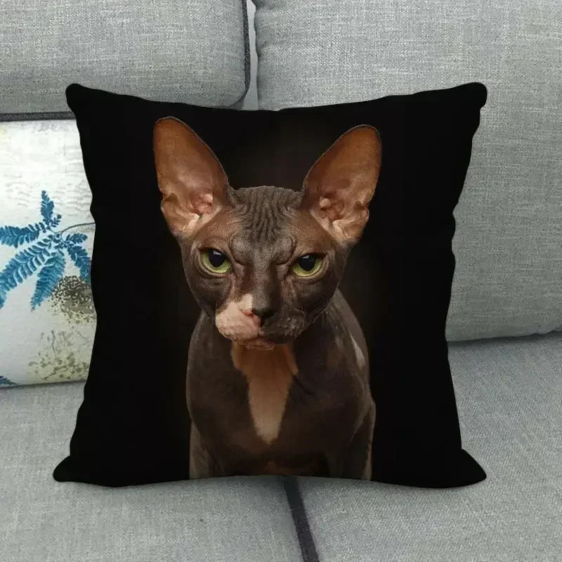 Fat Orange Cat Print Cushion Cover 45x45cm by Axyaa: Animal Pattern Home Decor Pillowcase