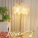 Axyaa French Feather Floor Lamp - Modern Romantic LED Light for Luxury Living Room