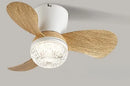 Axyaa Ceiling Fan Light with Variable Frequency Control