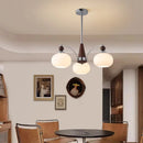 Axyaa Nordic Chandeliers for Dining Room Indoor Lighting Fixture