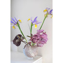 Axyaa Gradient Glass Vase for Stylish Home Decor & Flower Arrangement