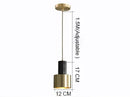 Axyaa LED Wall Lamp Gold Black Pipe Acrylic Shade for Bedroom Study Room