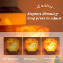 Axyaa Himalayan Salt Lamp USB Plug Table Night Light