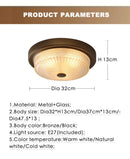 Axyaa LED Ceiling Light with White Frosted Glass Shade for Home Decor
