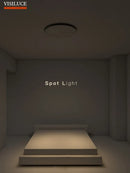 Axyaa Nordic LED Ceiling Lamp with Dimming Spotlight