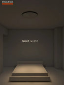 Axyaa Nordic LED Ceiling Lamp with Dimming, Spotlight for Living Room, Bedroom