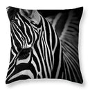 Axyaa Zebra Print Polyester Cushion Cover 45X45cm for Home Decor