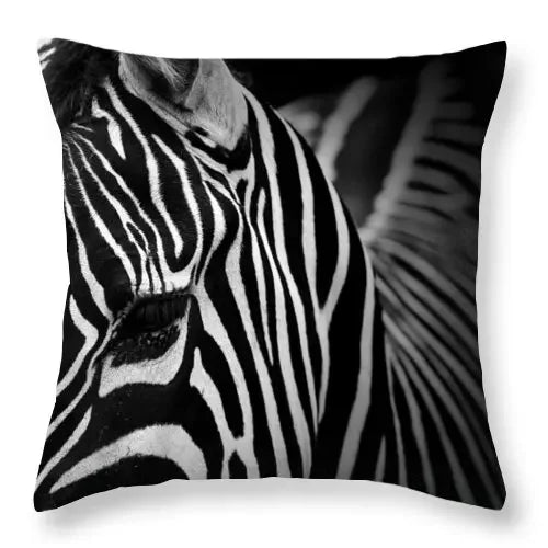 Axyaa Zebra Print Polyester Cushion Cover 45X45cm for Home Decor