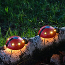 Solar Ladybug Hanging Light for Front Porch & Backyard Decor by Axyaa