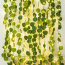 Axyaa LED Eucalyptus Table Greenery Vines for Indoor Outdoor Decoration