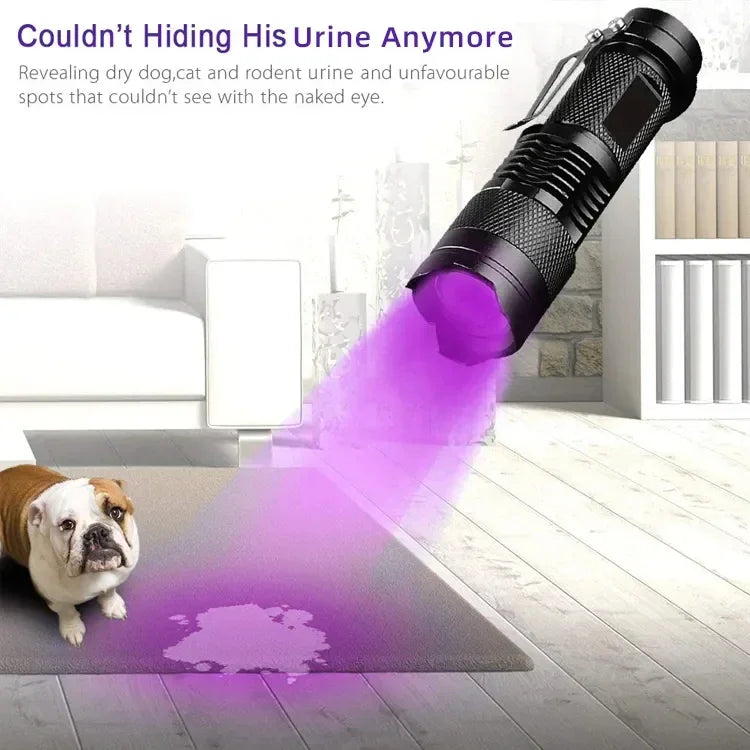 Axya UV Flashlight: 395-400nm Black Light Zoomable Torch for Pet Urine Stains Detection