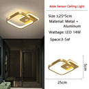 Axyaa LED Ceiling Lamps: Motion Sensor, Black, Indoor, Bedroom, Corridor Balcony Lighting