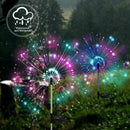 Axyaa Solar Garden Light - Waterproof LED Outdoor Lamp with Auto On/Off - Decorative Yard/Patio Lighting