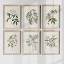 Retro Plant Canvas Print Set for Modern Home Decor by Axyaa