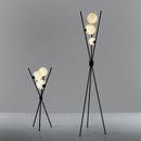 Axyaa Nordic Black Floor Lamp for Home Lighting Decor