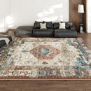 Axyaa Plush Large Area Rug Light Luxury Soft Living Room Bedroom Decor