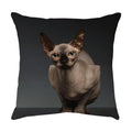 Axyaa Black Cat Cartoon Decorative Cushion Cover