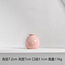 Axyaa Ceramic Base Ins Japanese Home Living Room Vase White Pink Purple Blue