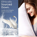 Axyaa Goose Feather Down Pillows - 2 Pack, 100% Cotton, Standard Queen King Sizes