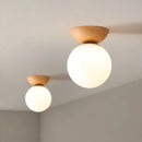 Axyaa Modern LED Ceiling Light Fixture Iron Glass Nordic Lamp.