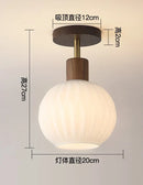 Axyaa LED Glass Ceiling Light Chandelier for Home Living Room Bedroom