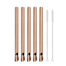 Axyaa 304 Stainless Steel Reusable 5Pcs Bubble Tea Straw Set with Brush and Spoon