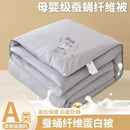 Axyaa Embossed Cotton Silk Quilt: Thick & Fluffy Four-Season Warmth