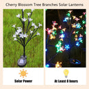 Axyaa Solar Sakura Tree Pathway Light: 8 Modes, Outdoor Flush Mount Garden Lighting