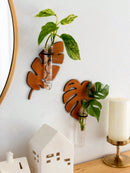 Axyaa Indoor Plant Wall Planter Propagation Station - Unique Gardening Gift for Plant Lovers