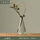 Axyaa Transparent Glass Zen Vase for Living Room Decor and Hydroponic Plants