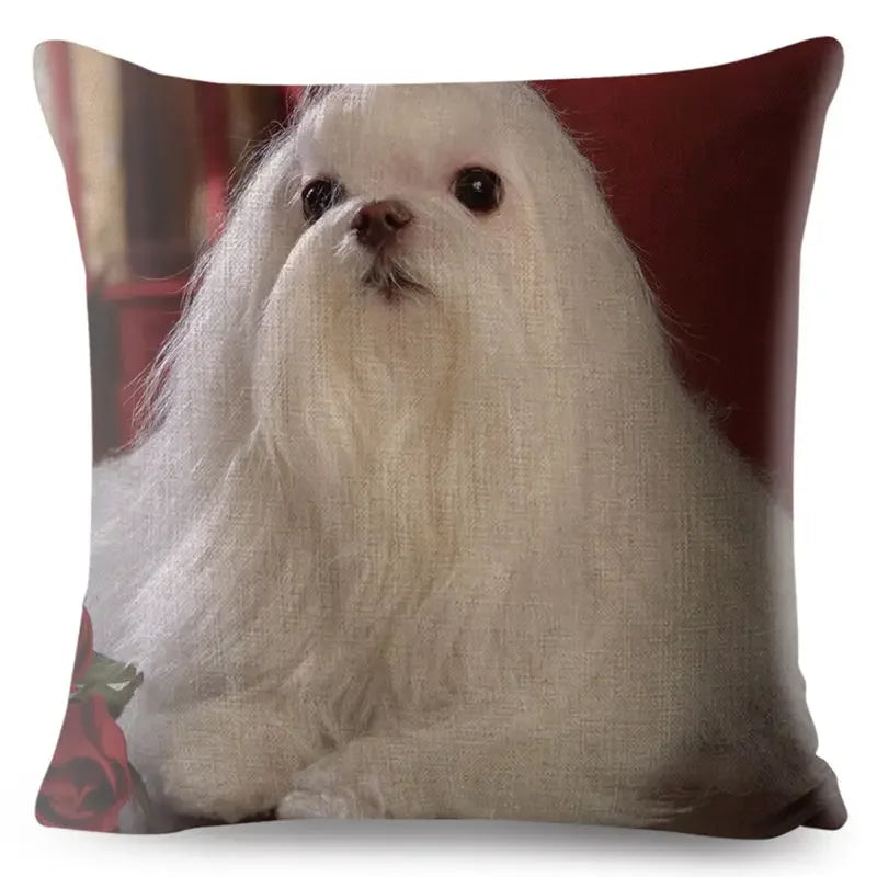 Maltese Dog Pillow Cover by Axyaa - Decorative Cushion Case for Home and Car