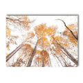 Nordic Forest House Poster Canvas Art Print Wall Pictures by Axyaa for Home Décor