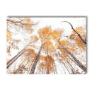 Nordic Forest House Poster Canvas Art Print Wall Pictures by Axyaa for Home Décor