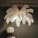 Axyaa Nordic Feather LED Pendant Lamp: Stylish Indoor Hanging Light for Home Decor