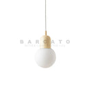 Axyaa Glass Ball LED Pendant Lamp Iron Art Fixture for Home Decor