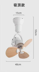 Axyaa 16 Inch Mini Dual Purpose Ceiling Fan for Living Room and Bar