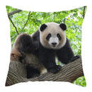 Axyaa Koala Panda Polyester Pillow Cover 45x45cm