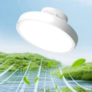 Axyaa Round Ceiling Fan with LED Light and Remote Control for Bedroom
