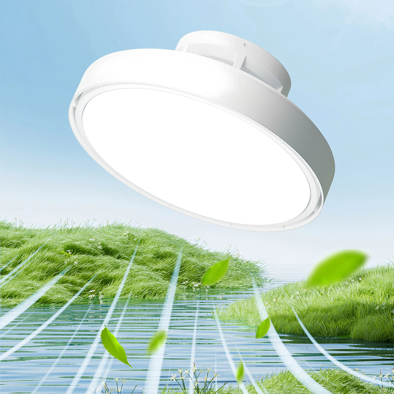 Axyaa Round Ceiling Fan with LED Light and Remote Control for Bedroom