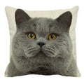Axyaa British Shorthair Cat Pillow Cover 45X45cm Square Cushion