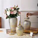 Axyaa Golden Ceramic Luxury Vase Storage Bottle Flowerpot Ornament