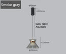 Axyaa Modern LED Pendant Light for Dining Room Kitchen Chandelier & Bedroom Night Lamp