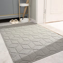 Axyaa Grey Welcome Door Mat: Absorbent, Non-Slip, Stain & Fade Resistant
