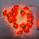 Axyaa Tropical Fruit String Lights for Summer Outdoor Party Decor